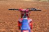 Picture of Honda CRF450R 2024
